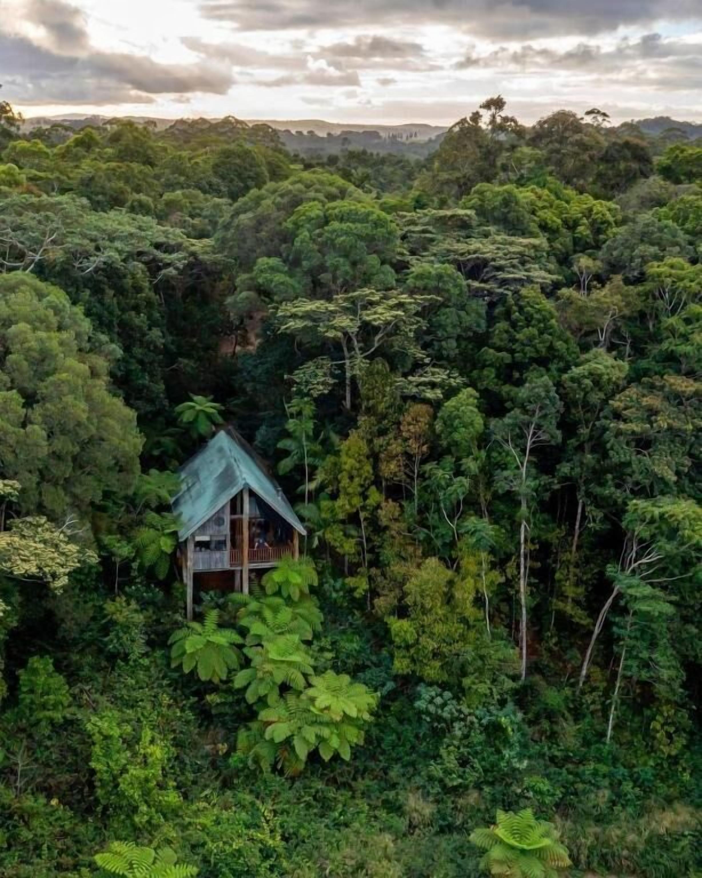 Une petite maison entourée d’une forêt dense.