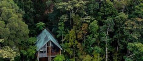 Une petite maison entourée d’une forêt dense.