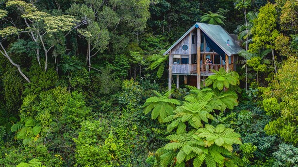 Eine Holzhütte mit Balkon, umgeben von dichtem Wald und Farne.