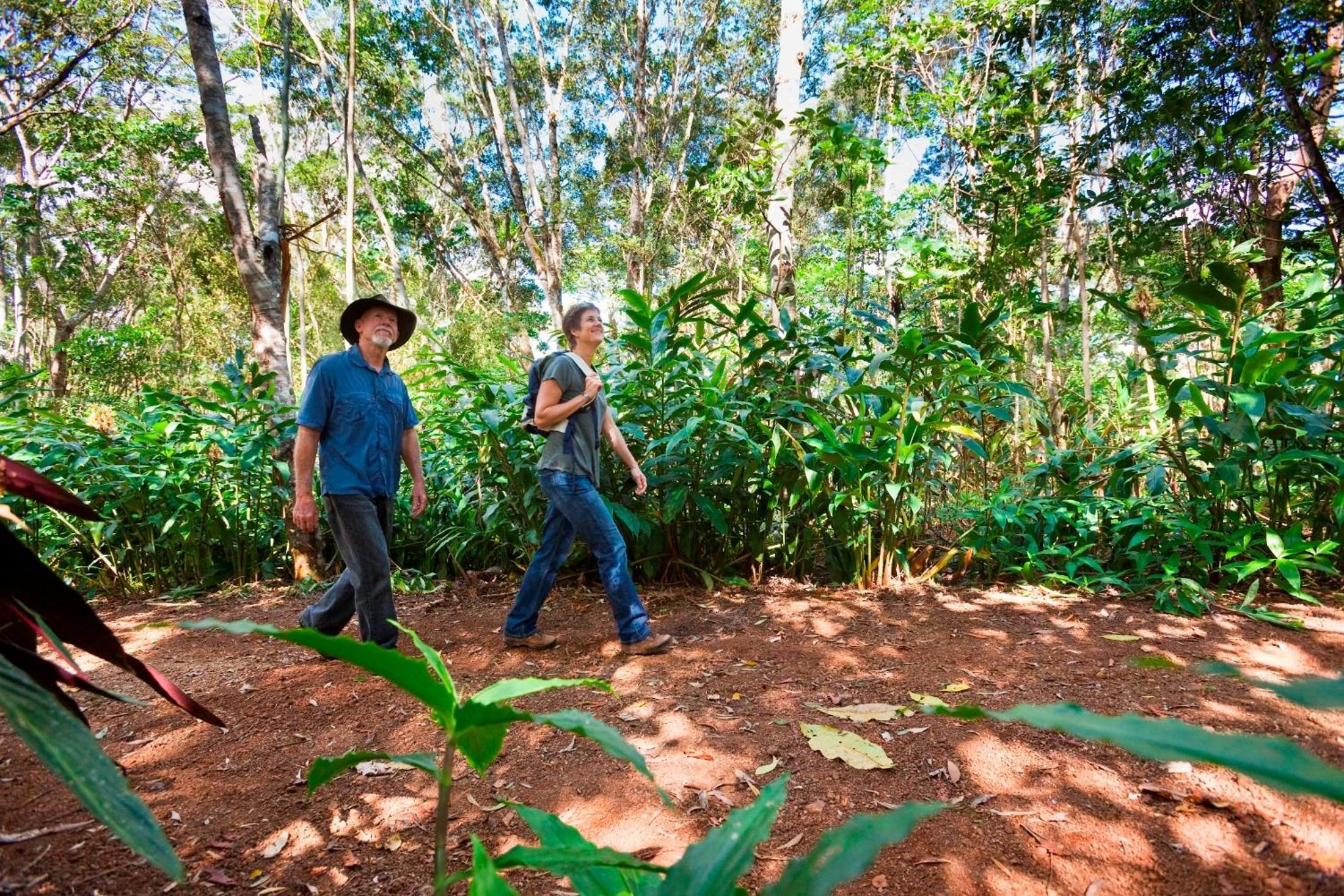 Two people walking through a forested area with dense vegetation and a dirt ground.