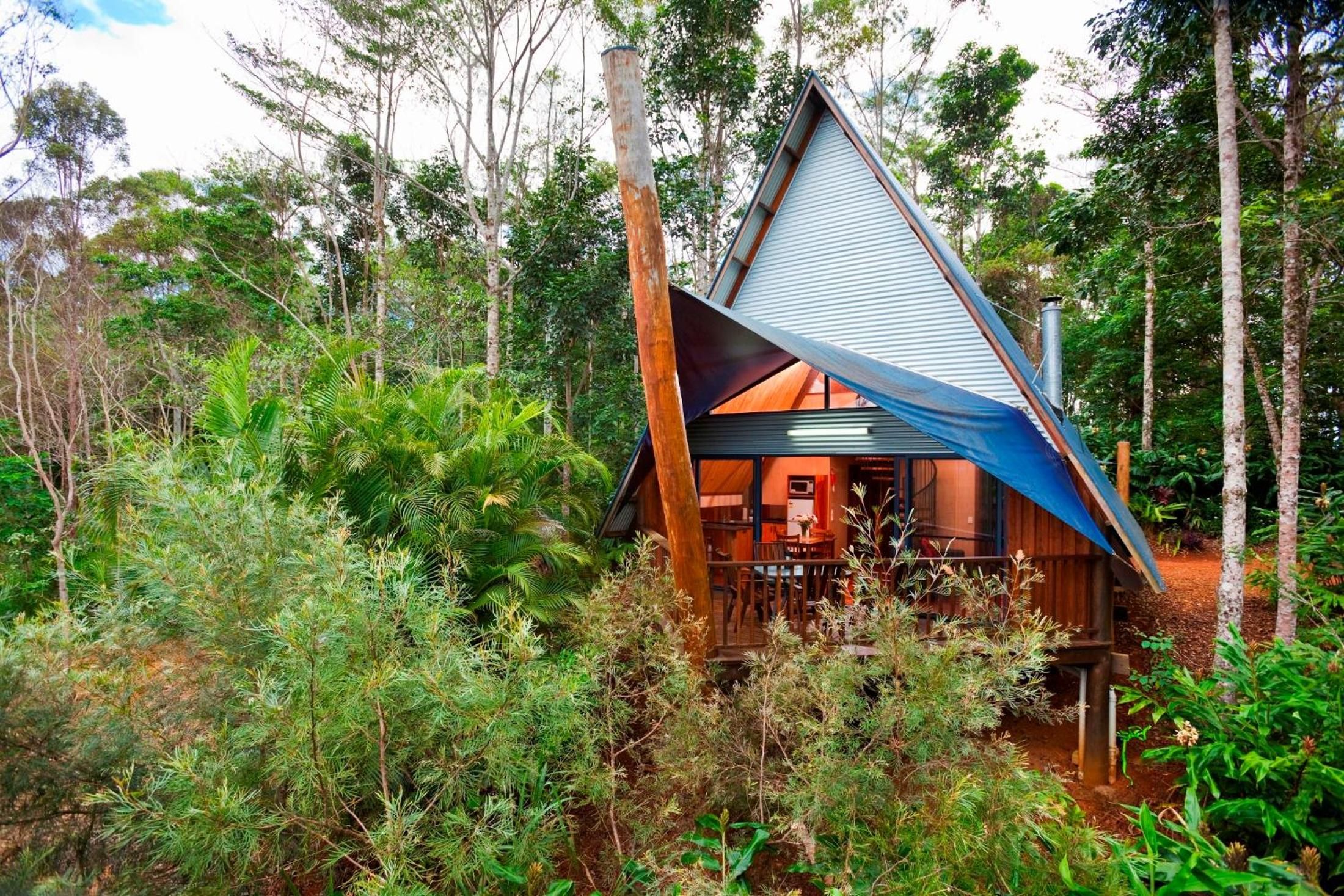A modern, triangular-shaped cabin surrounded by dense forest.