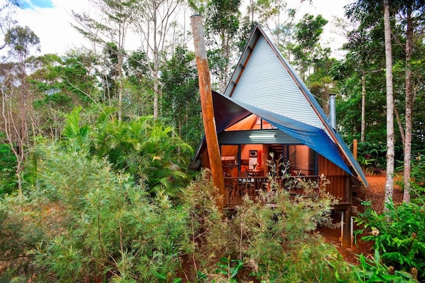 A modern, triangular-shaped cabin surrounded by dense forest.