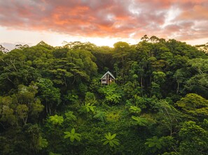 Une petite maison entourée d’une forêt dense.