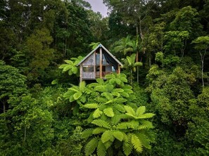 Een huis, omringd door dicht bos.