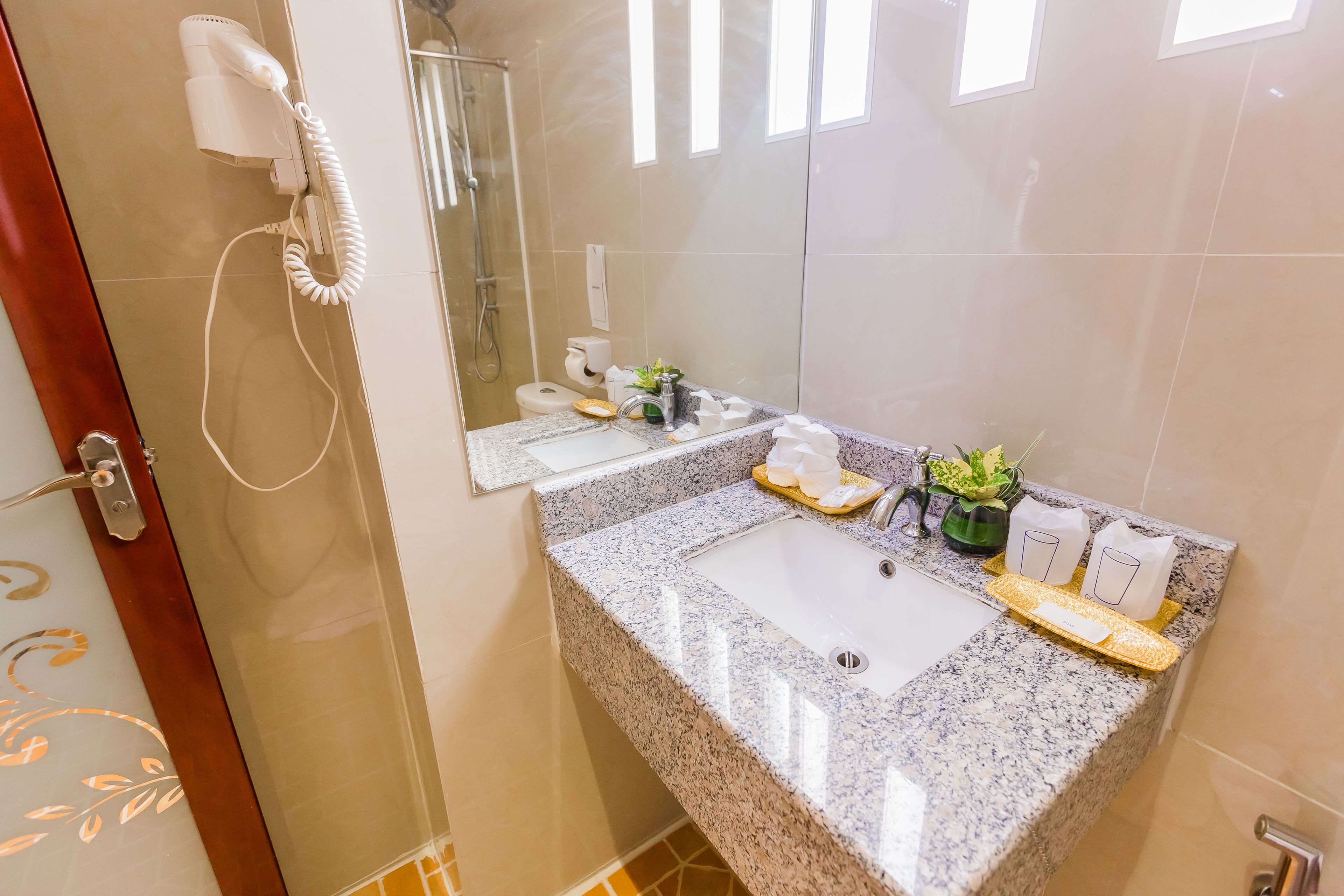 A bathroom with a granite countertop, a white sink, a handheld hair dryer, and a potted plant.