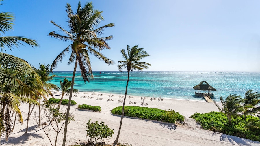 The Westin® Puntacana Resort