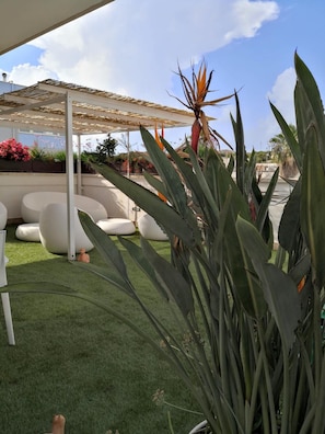 Jardines del alojamiento