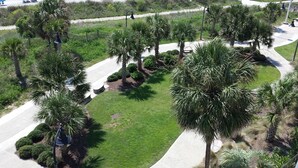 An aerial view of a landscaped area with palm trees, a paved walkway, and a road in the background. - Bermuda Sands on the Boardwalk (Myrtle Beach)