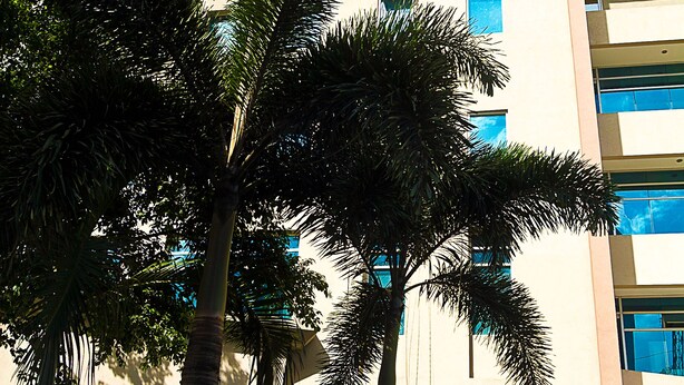 A multi-story building with a beige facade, multiple windows, and balconies. - El Cielito Hotel - Sta. Rosa (Santa Rosa)