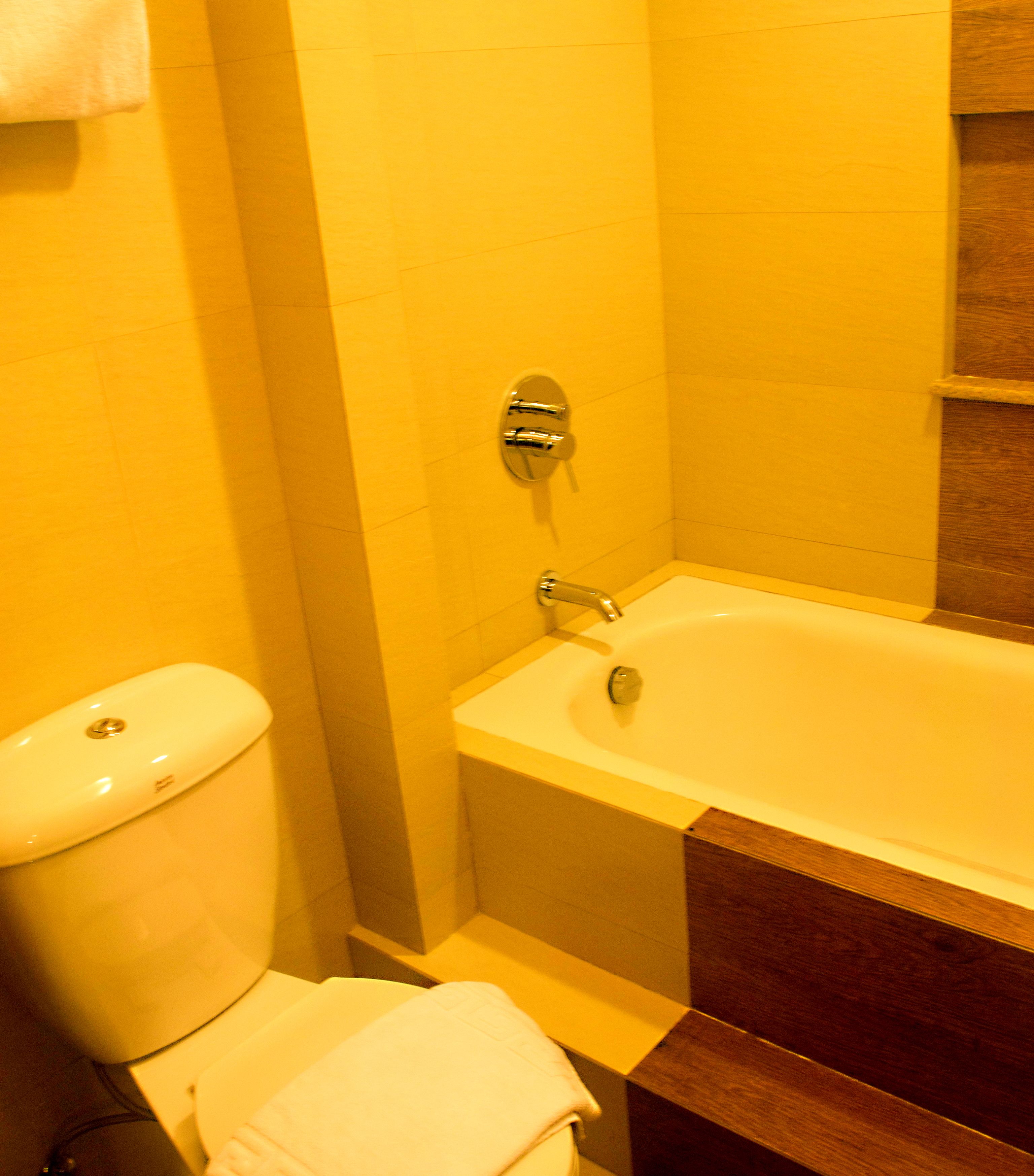 Ein Badezimmer mit Toilette, Badewanne und einem Holzinlay.