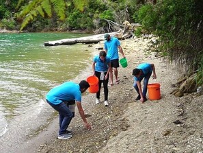 Private beach, snorkeling, kayaking, rowing - The Lodge At Te Rawa - Boat Access Only (Te Rawa)