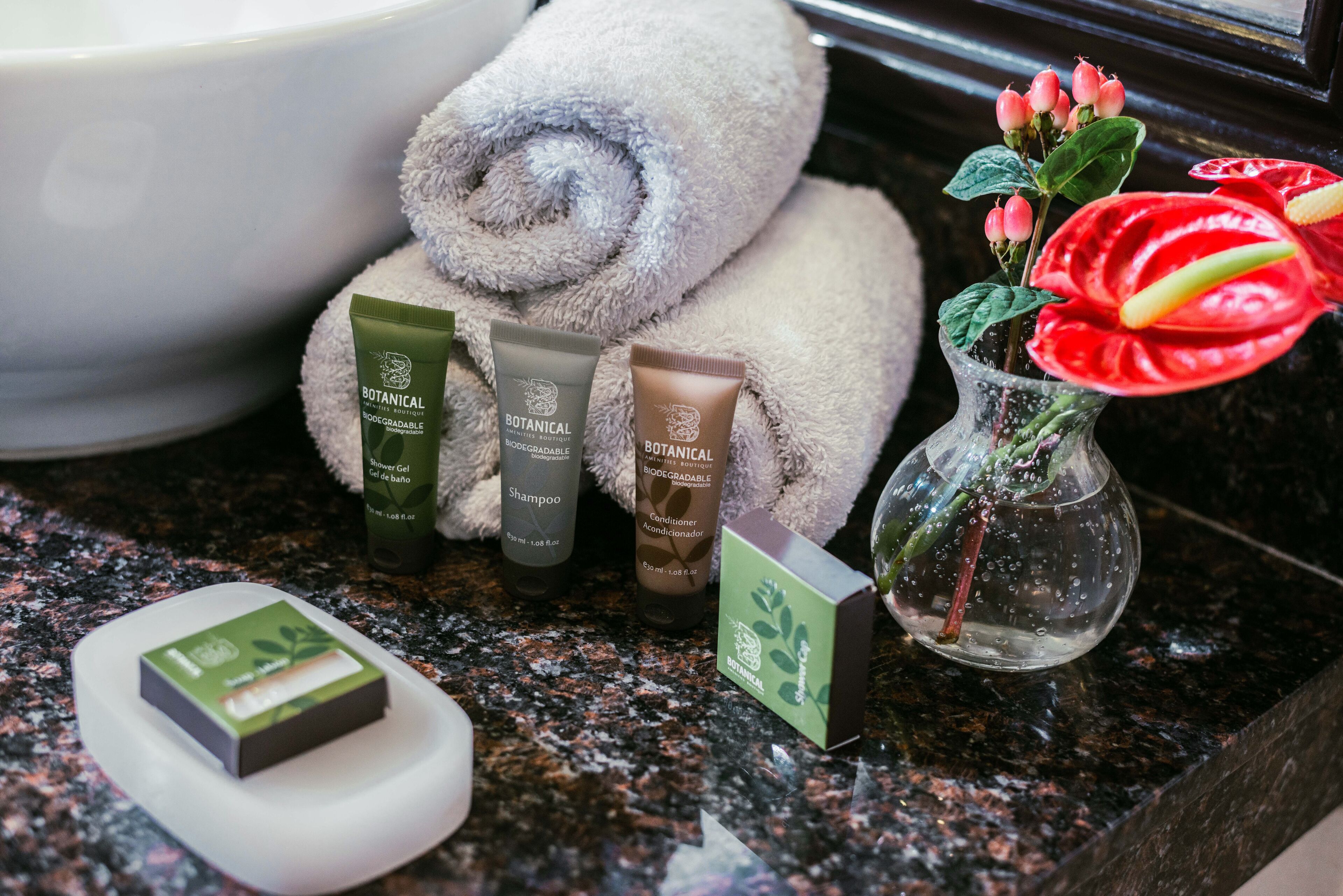 shower, rainfall showerhead, free toiletries, hair dryer