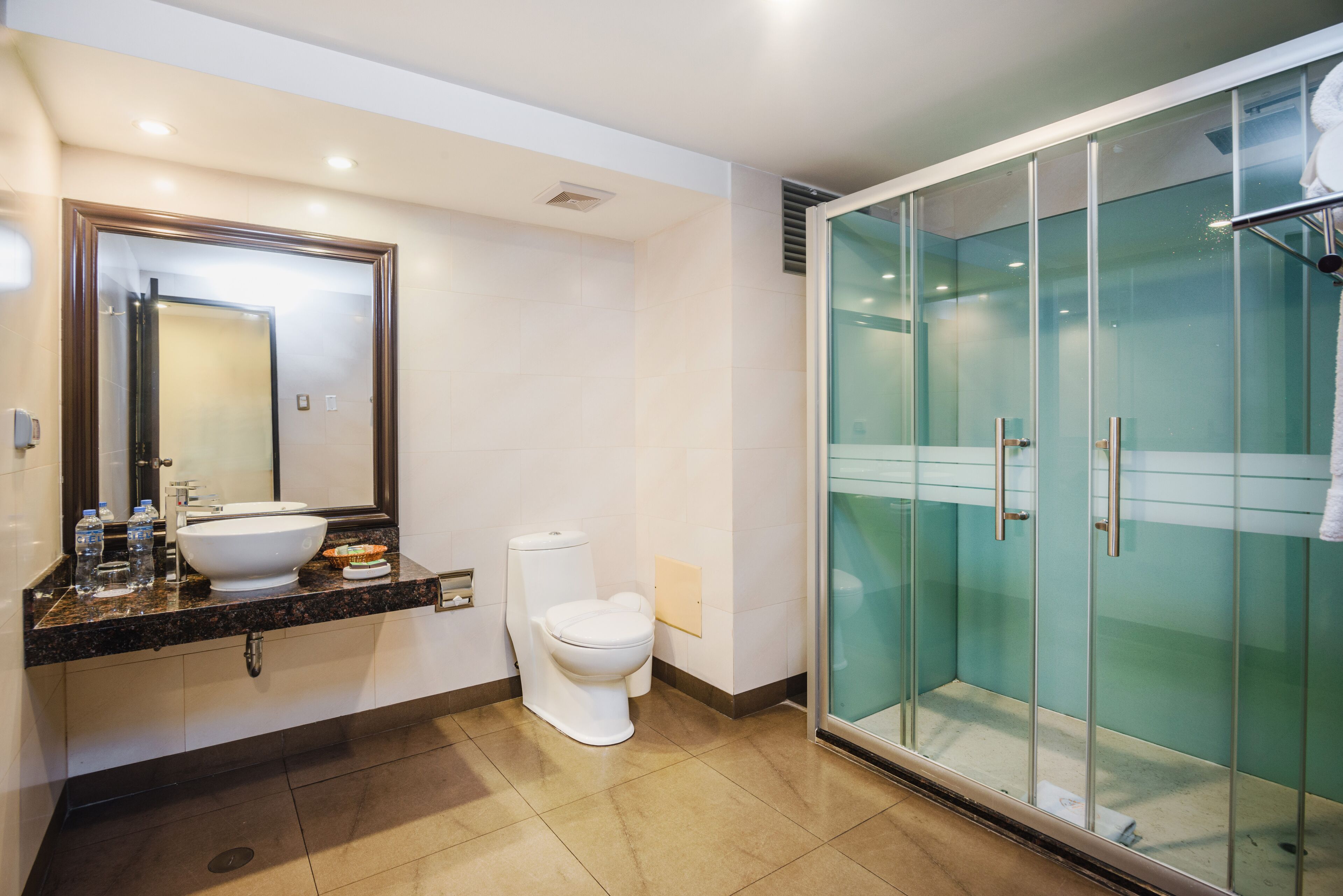 shower, rainfall showerhead, free toiletries, hair dryer