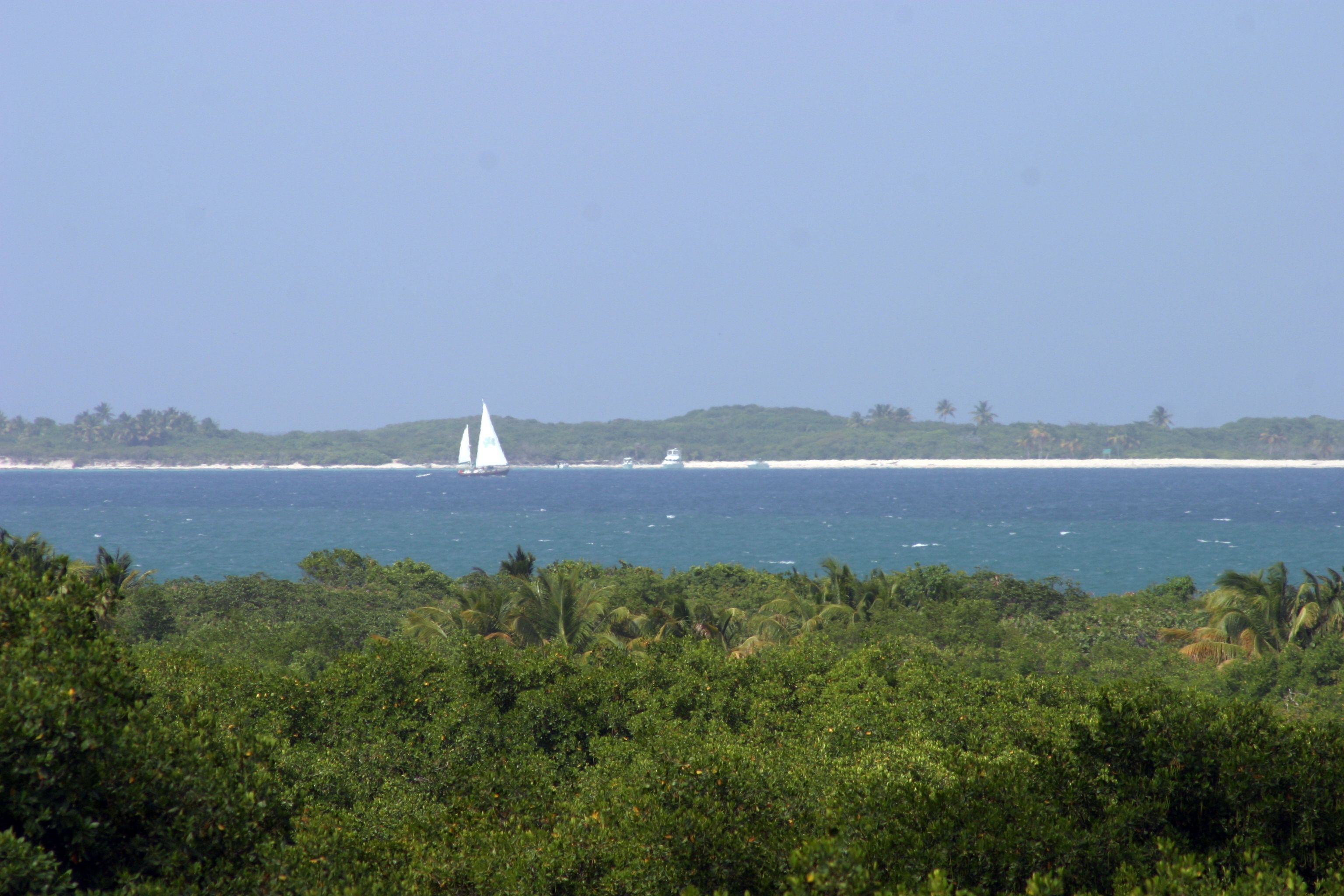 A coastal landscape with a sailboat on the water, dense greenery in the foreground, and a clear sky.