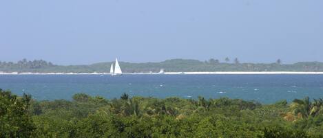 A coastal landscape with a sailboat on the water, dense greenery in the foreground, and a clear sky.