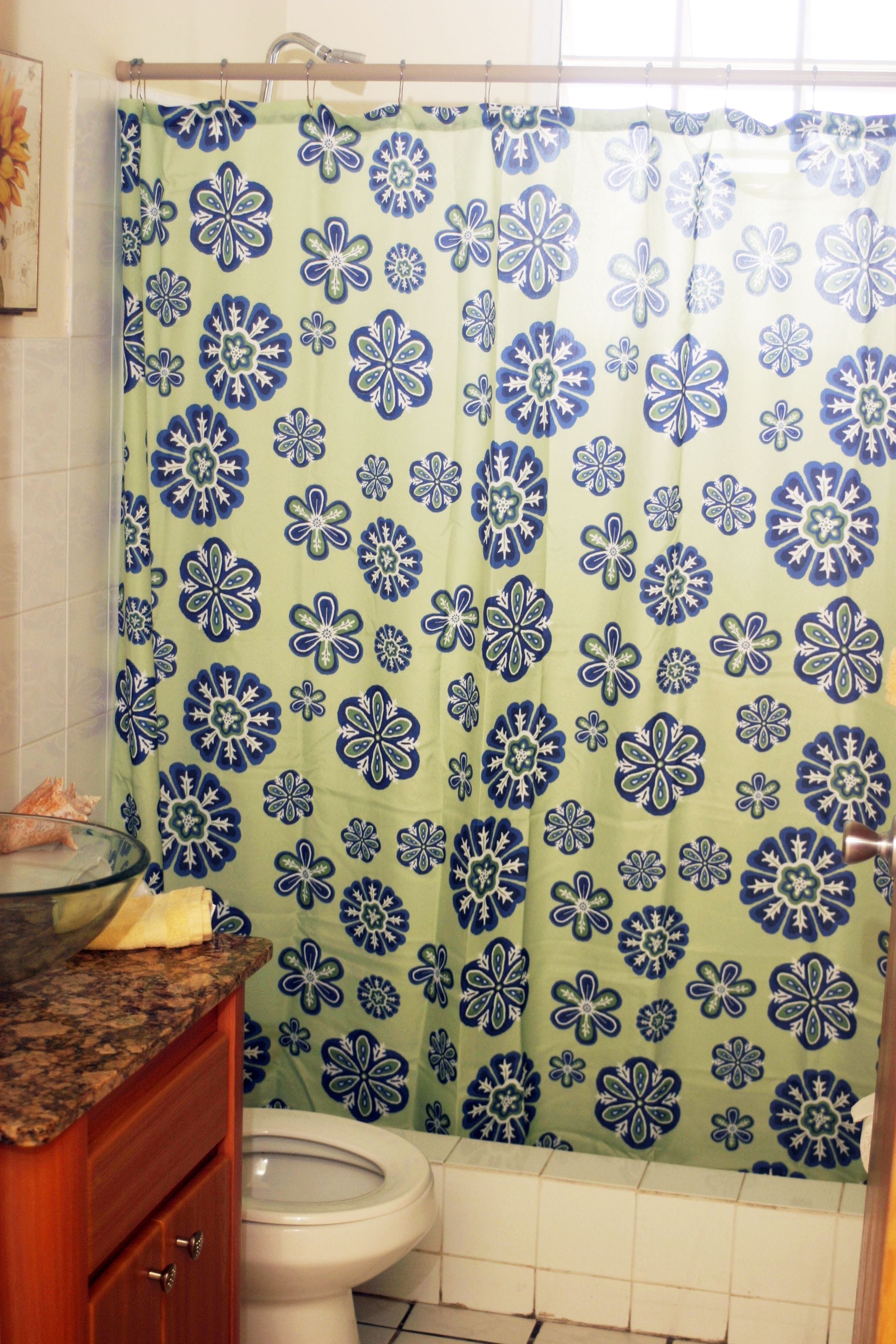 Ein Badezimmer mit Duschvorhang in blau-weißem Blumenmuster, Toilette und einer Waschtischplatte aus Granit mit Seifenschale.