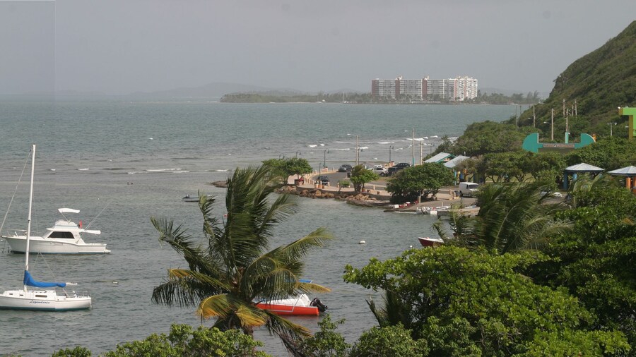 Sueños del Mar Vacation Rentals
