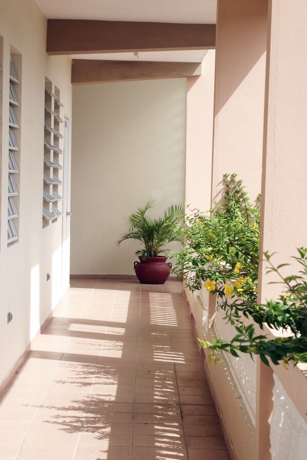 رواق