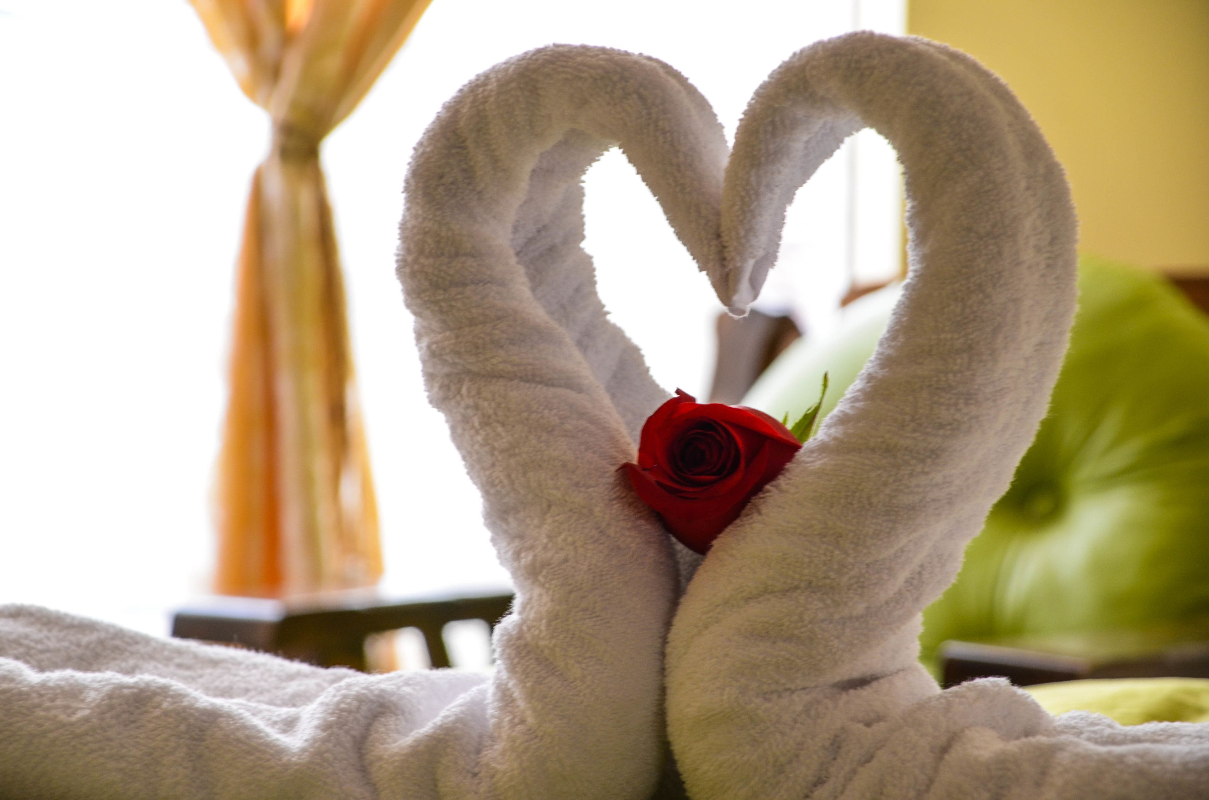 Double Room | Premium bedding, down comforters, in-room safe, desk