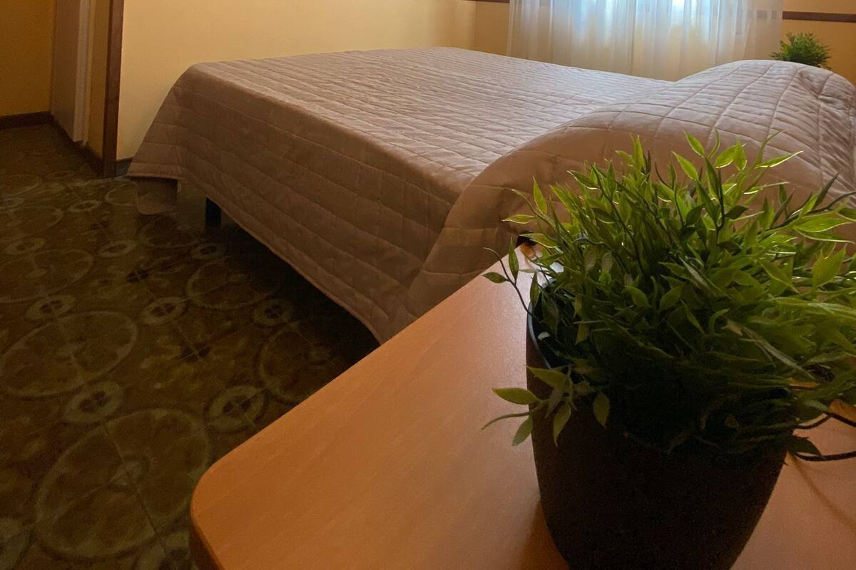 Ein Hotelzimmer mit zwei Betten, einem an der Wand befestigten Fernseher, einem Fenster mit durchsichtigen Vorhängen und einer Topfpflanze auf einem Holztisch.