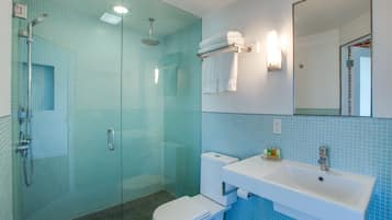Ein Badezimmer mit einer Duschkabine, einer weißen Toilette und einem Waschbecken mit Spiegel darüber.