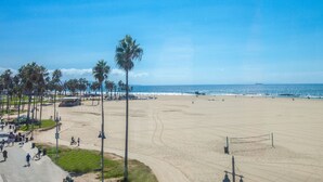 Una playa con palmeras, una red de voleibol y un cielo azul despejado.