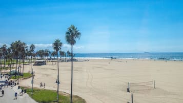 Suite, 1 Bedroom, Ocean View, Beachfront | Beach/ocean view