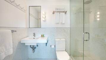 Un baño moderno con ducha envuelta en vidrio, un lavamanos blanco y un inodoro.