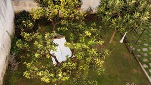 Eine Hängematte, die an einem Baum in einem Garten befestigt ist, mit einem Kiesweg und verschiedenen Pflanzen.