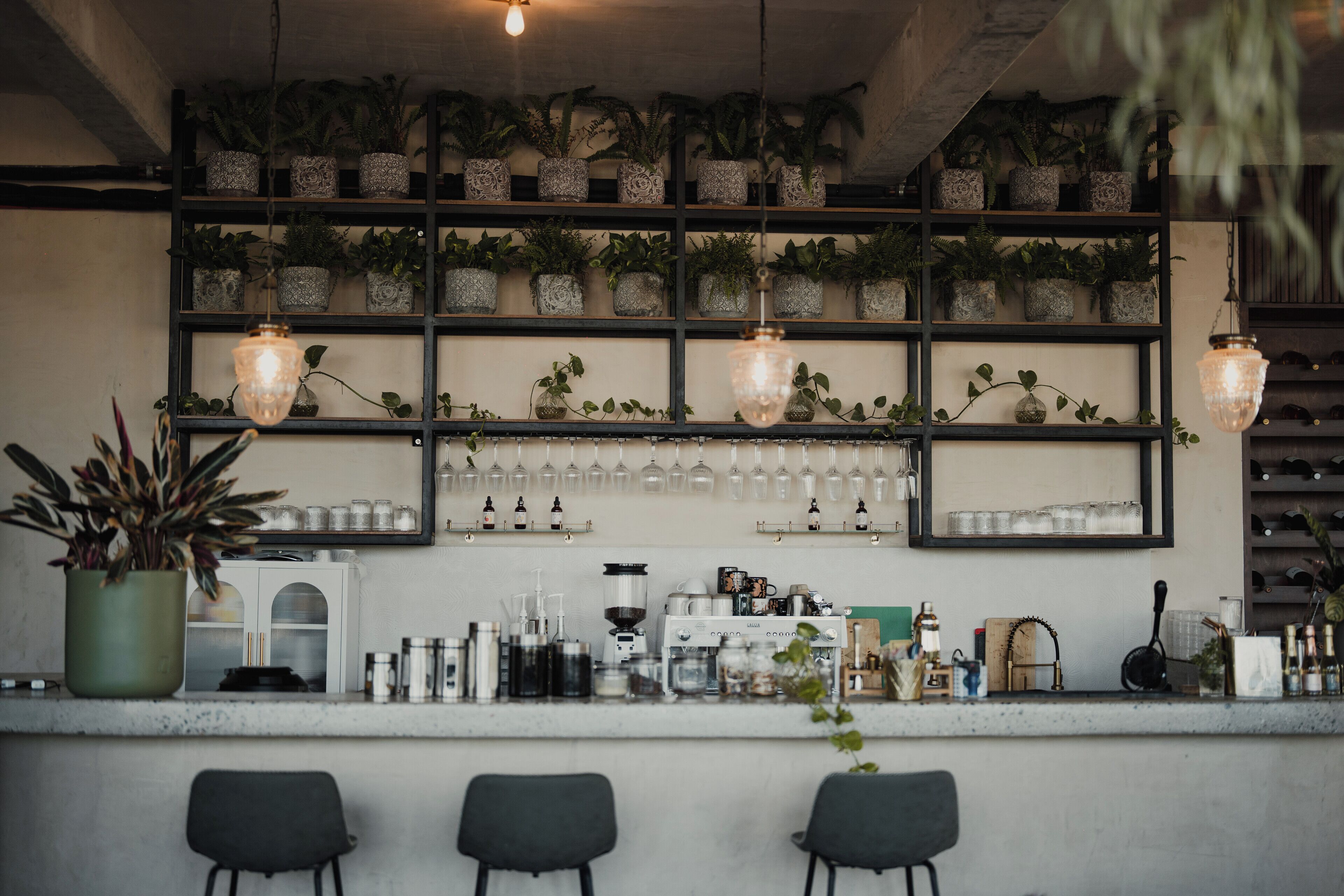 Zona de bar con estantes de plantas en macetas, luces colgantes y diversos utensilios y botellas.