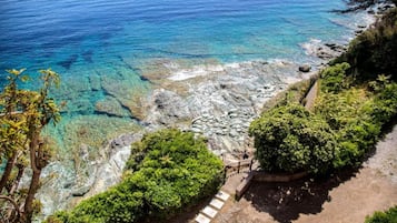 Un paysage côtier caractérisé par une eau d’un bleu limpide, un terrain rocheux et une végétation luxuriante.