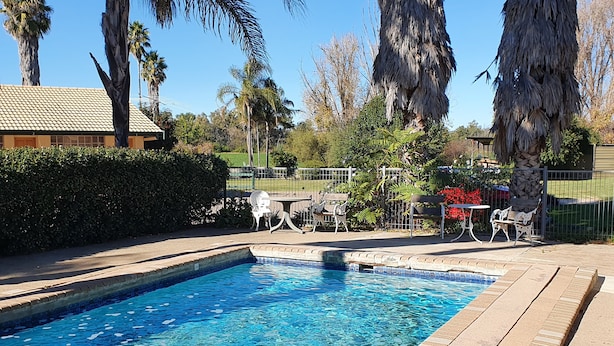 A swimming pool with a tiled deck, surrounded by palm trees and a fence.