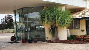 A modern building with a glass entrance, potted plants, and a large tree in the foreground.