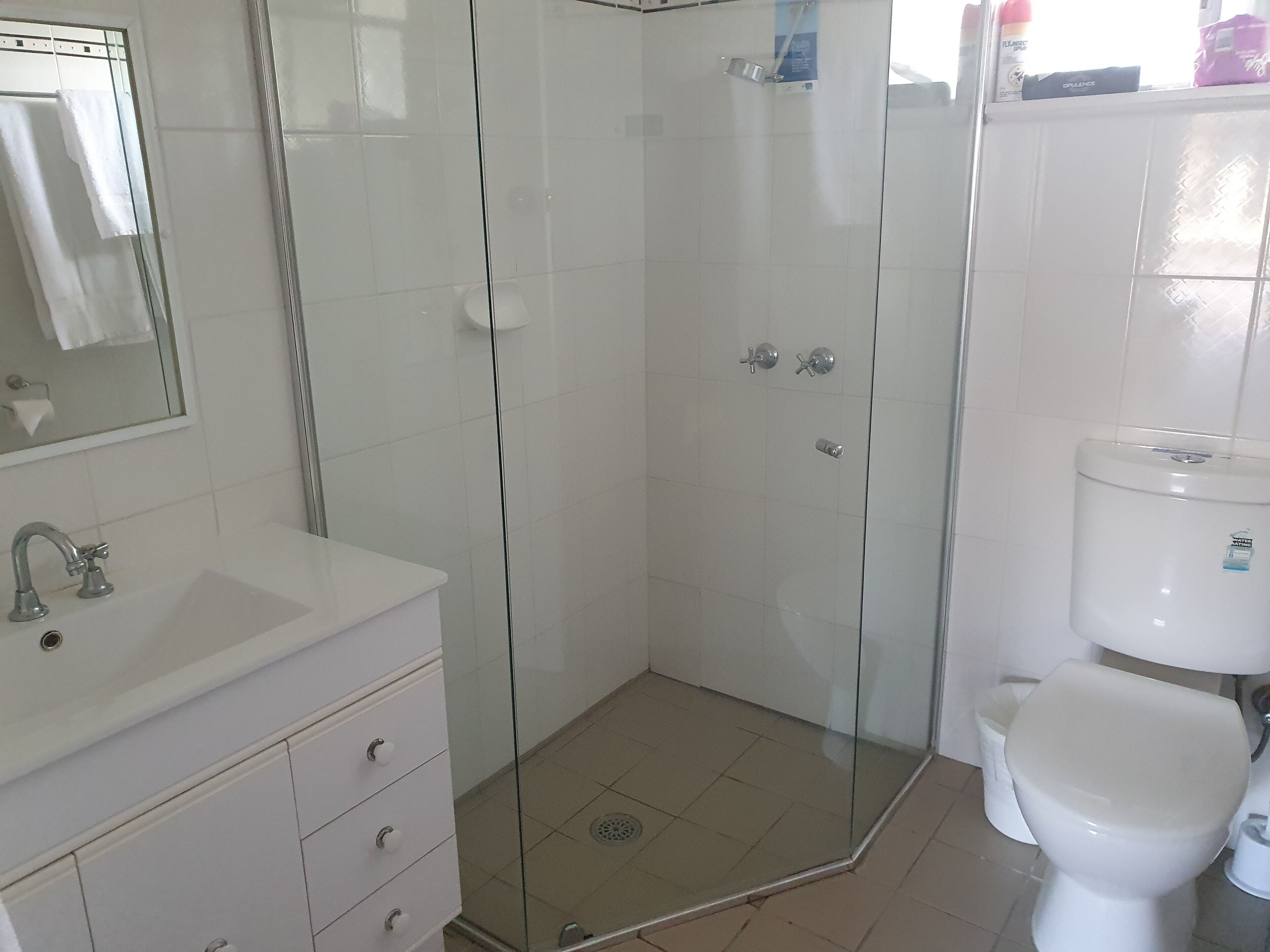 A bathroom with a glass-enclosed shower, a white sink, and a toilet.
