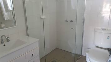 A bathroom with a glass-enclosed shower, a white sink, and a toilet.