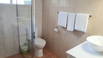 Un baño con cabina de ducha de vidrio, inodoro, lavabo y dos toallas colgadas en un perchero.