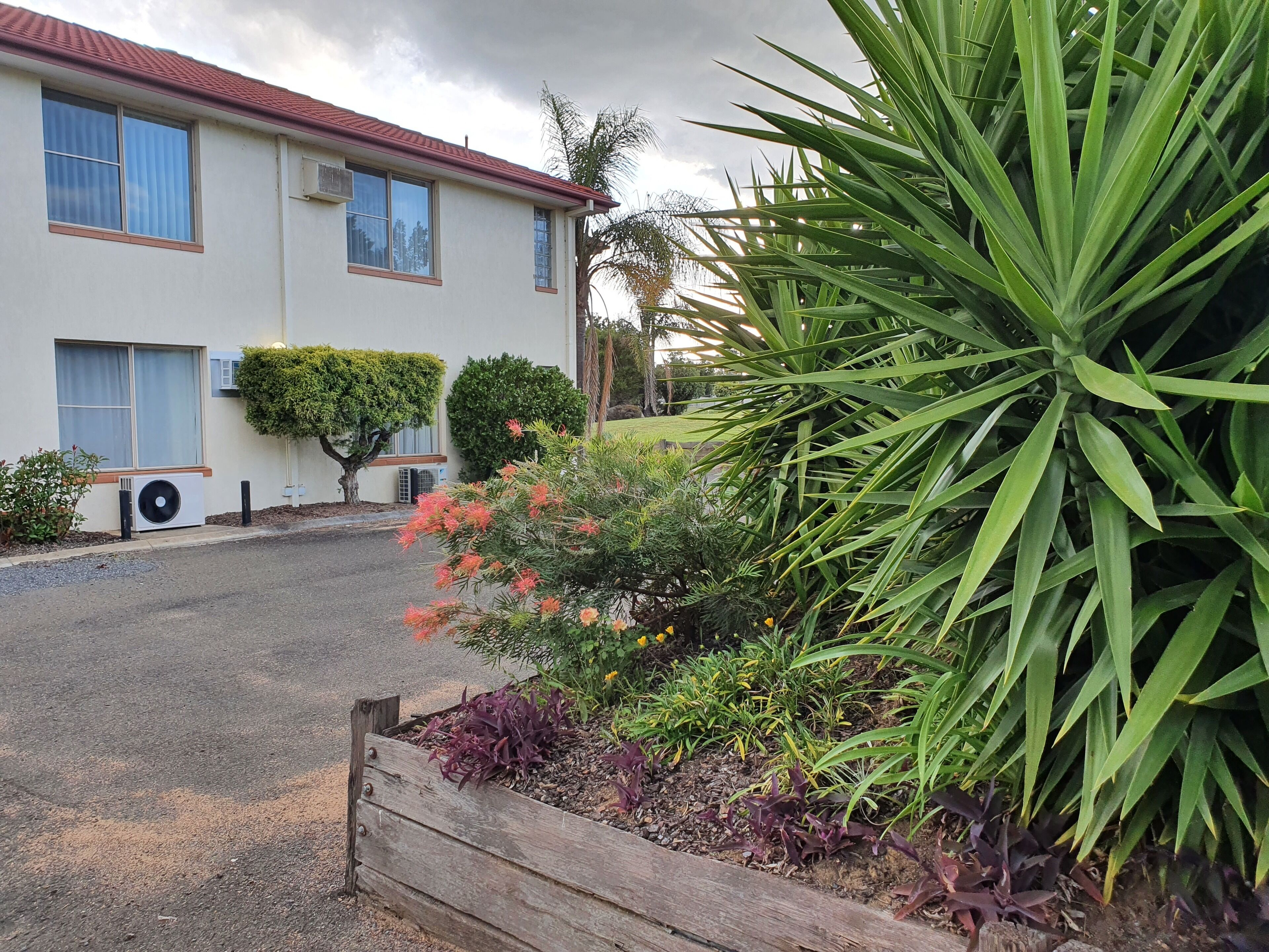 A residential building with a red roof, a window with a curtain, and a small garden with various plants and flowers.