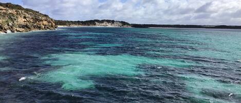 Majoituspaikan julkisivu