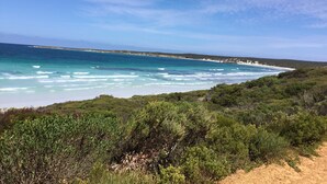 A coastal landscape with a beach, dense greenery, and a clear blue sky.