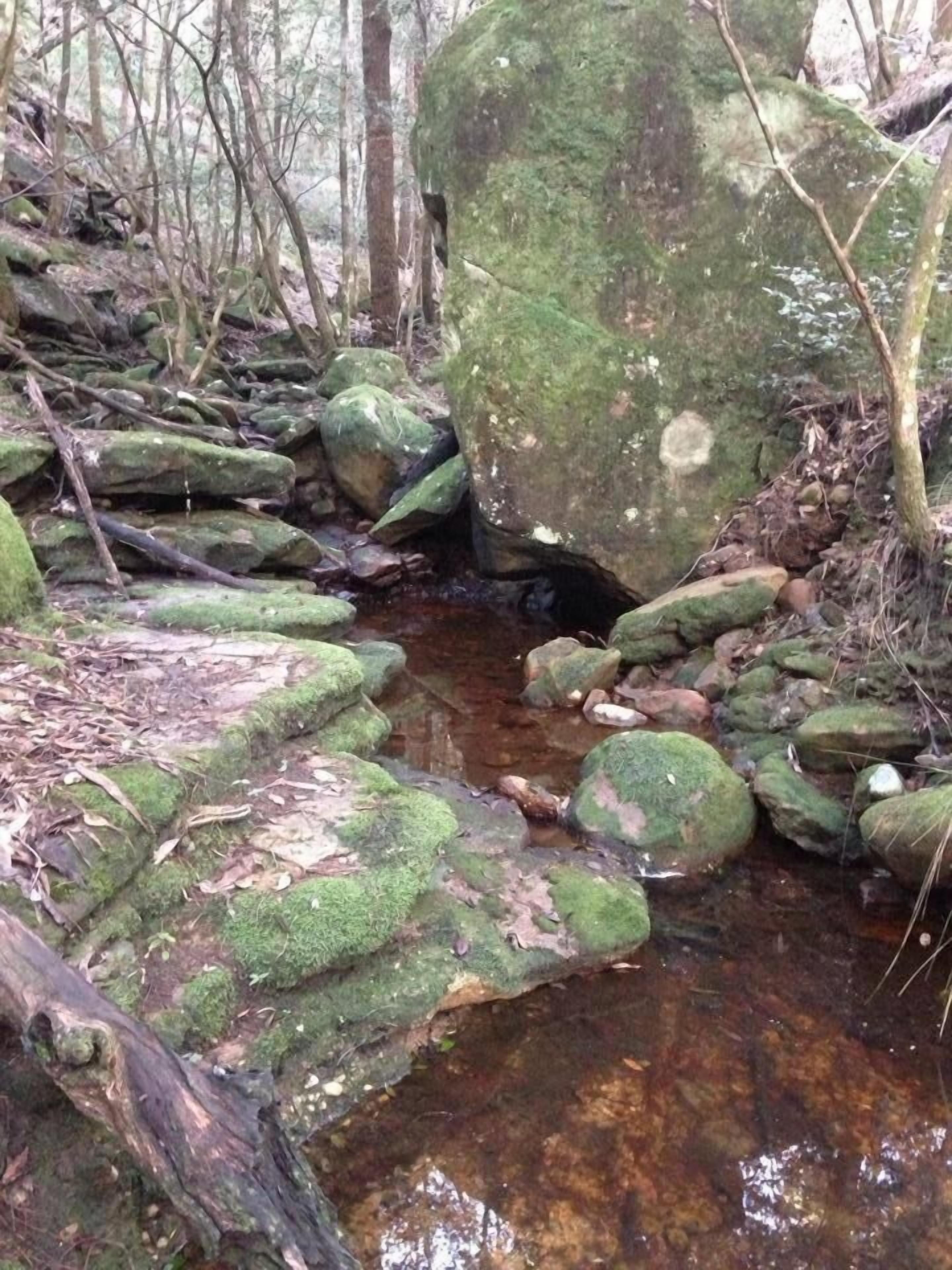 A natural stream with rocks and moss, surrounded by trees.