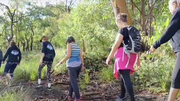 A group of people hiking in a forested area.