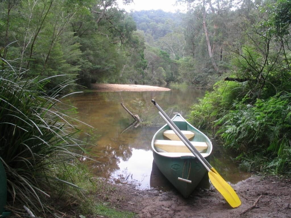 Un petit bateau à rames, avec une rame posée sur la rive d’une rivière paisible, entourée d’une végétation luxuriante.