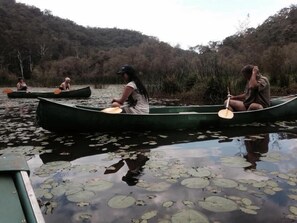 Un grupo de personas en canoas sobre aguas tranquilas, rodeadas de un bosque denso.