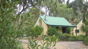Une maison dotée d’un toit végétalisé, entourée d’une végétation luxuriante.
