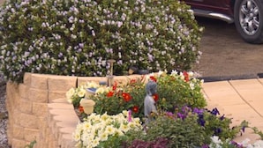 A tiered stone planter with various flowers and plants. - Lindsays of Kangaroo Island (Penneshaw)
