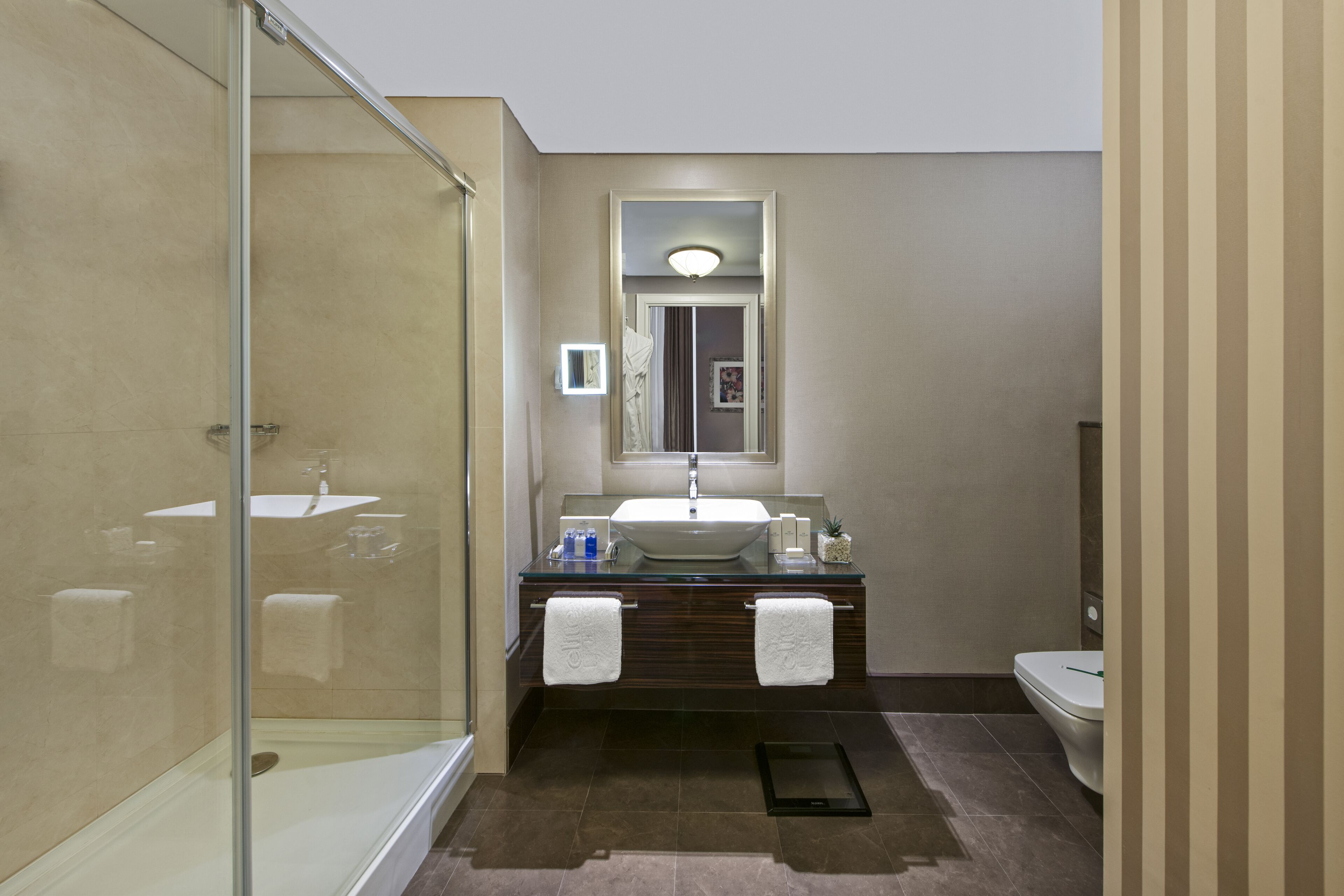 A modern bathroom with a glass shower enclosure, a vanity with a sink and mirror, and a toilet.