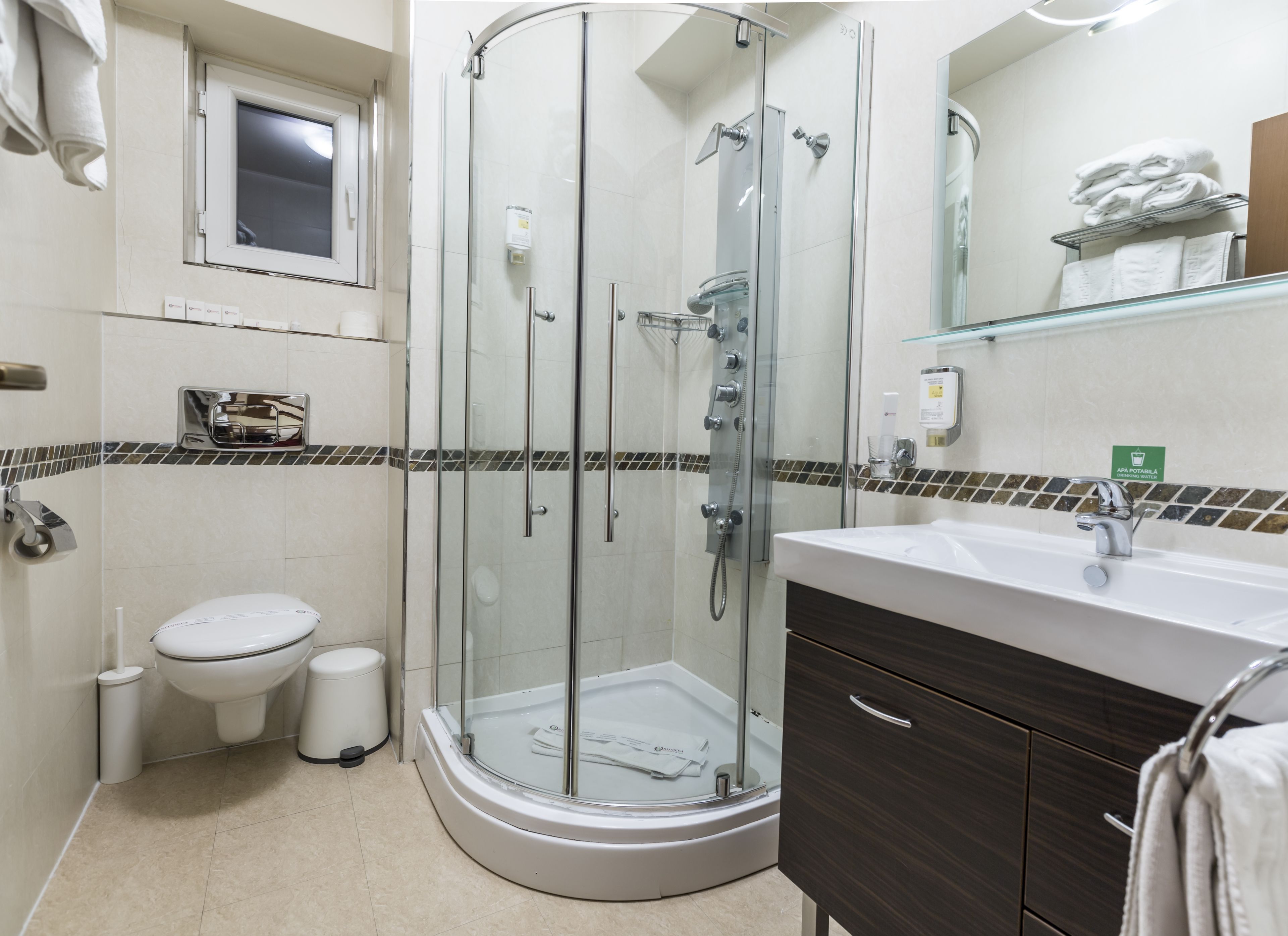 A modern bathroom with a glass-enclosed shower, a toilet, a sink with a mirror, and a towel rack.