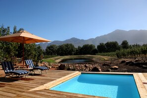 Exclusive Villa (8) | Outdoor pool | 2 outdoor pools, pool umbrellas, sun loungers - La Petite Dauphine (Franschhoek)