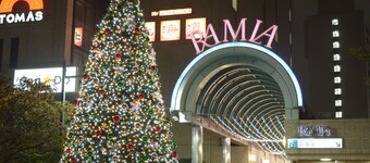 Tokyo Central Youth Hostel