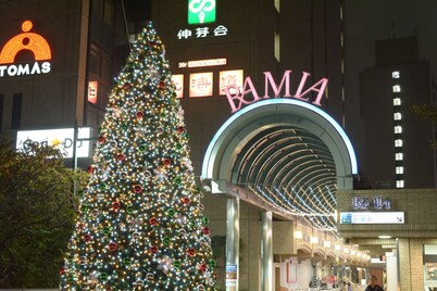 Tokyo Central Youth Hostel